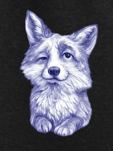 Blue-violet Fox Sketch