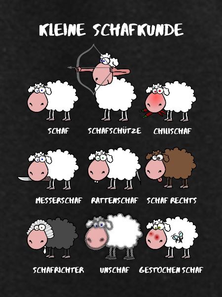 A little sheep knowledge