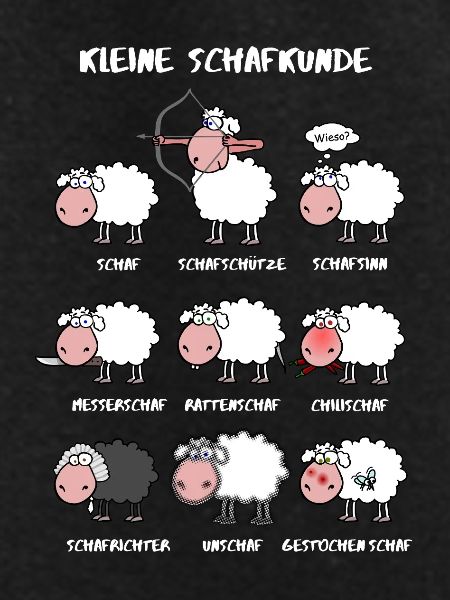 A little sheep knowledge