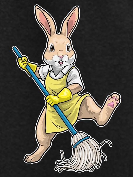 Rabbit Cleaner Mop Cleaning