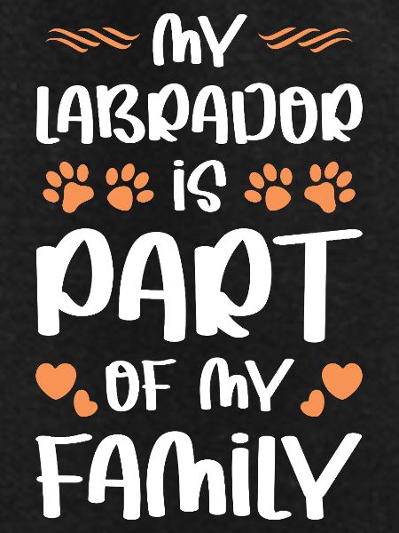 Labrador