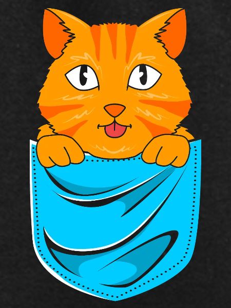 tabby cat