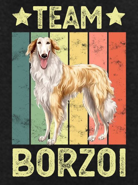 Dog Borzoi