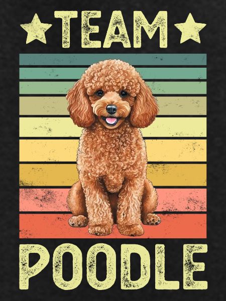 Dog Poodle