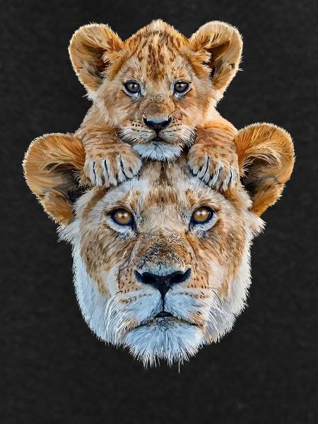 Mother lion with cub