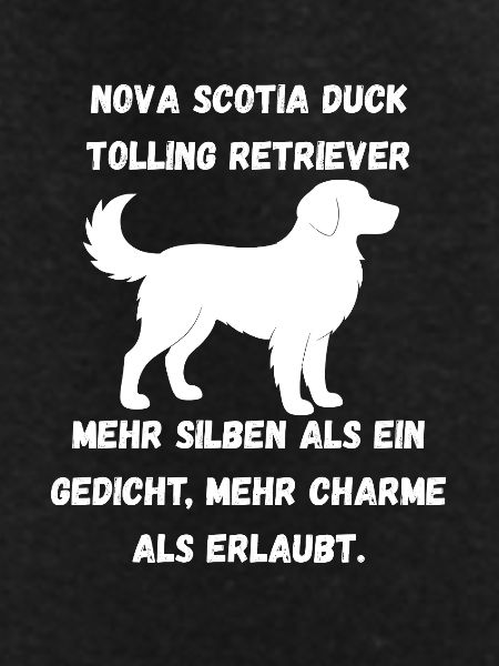 Duck Toller