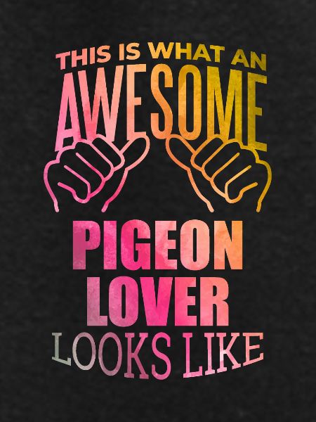 Pigeon Pigeon Pigeon