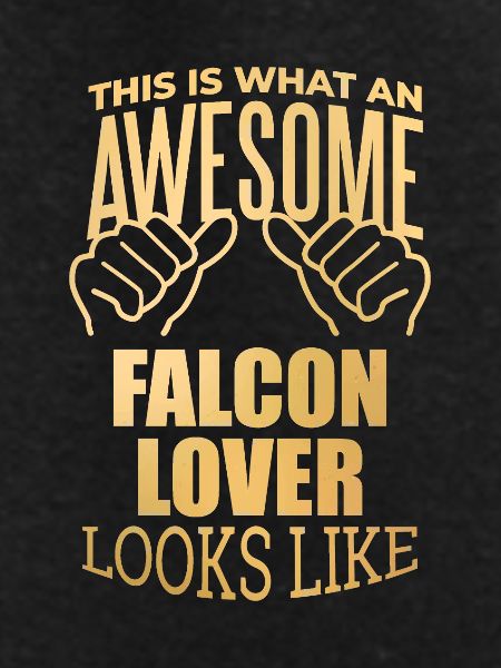 Falcon Falcon Falcon