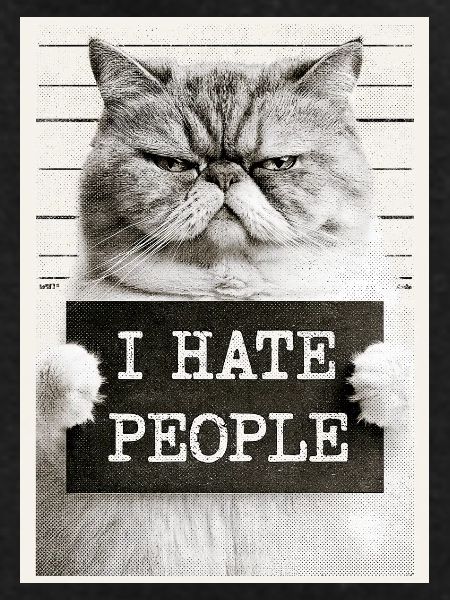 GrimmigerKater I HATE PEOPLE