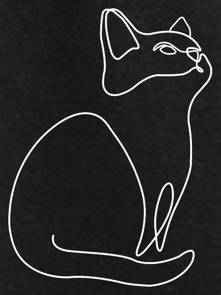 Kitten Cat Cat