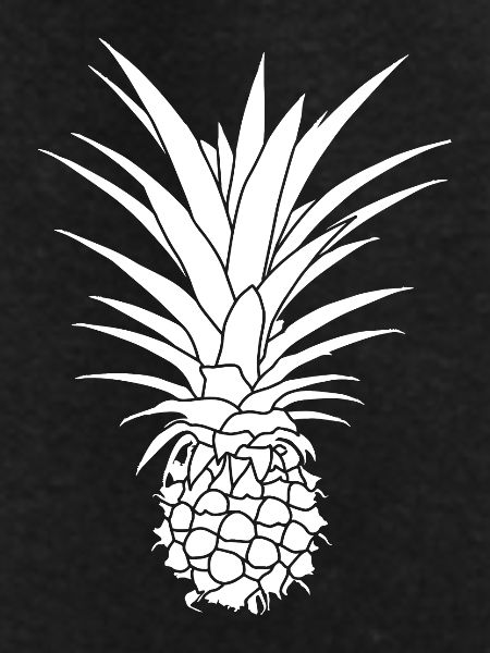 Pineapple Graphic Gift