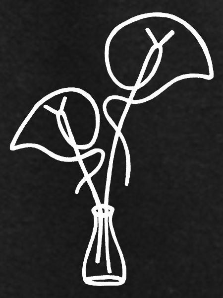 White Floral Sketch