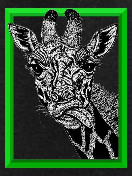 giraffe