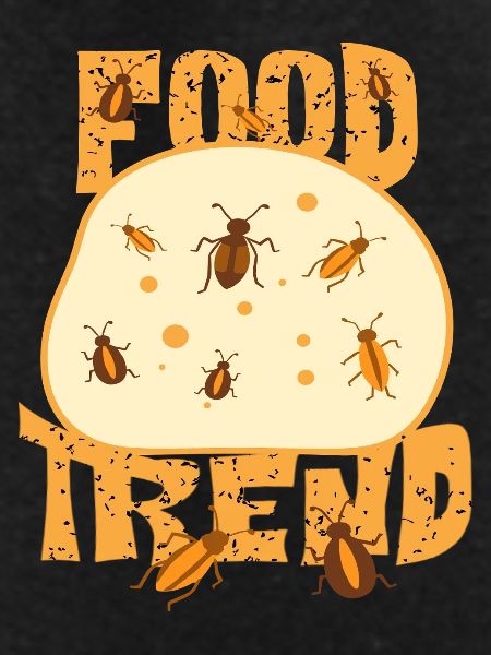 Insect Bread