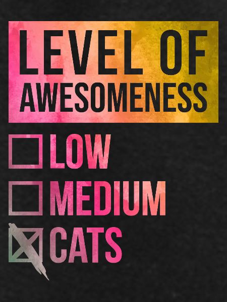 Cat Cat Cat
