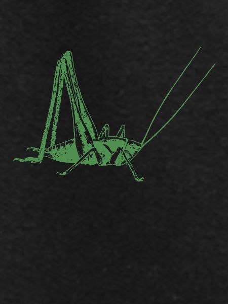 Grasshopper