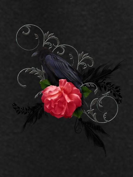 Wonderful crow with rose