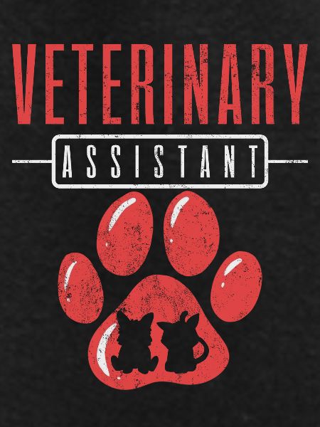 Veterinary Assistant Vet Tech