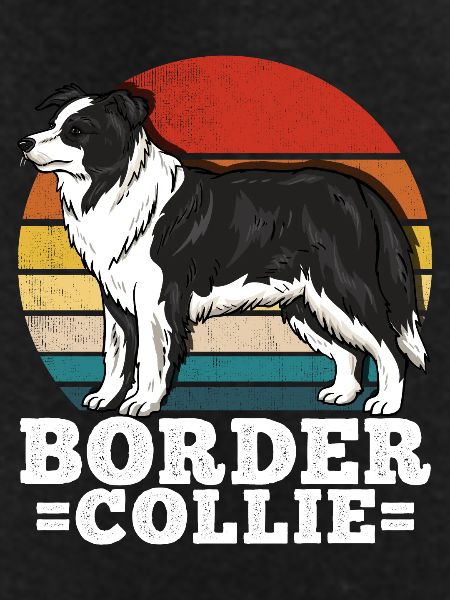 Border Collie Retro