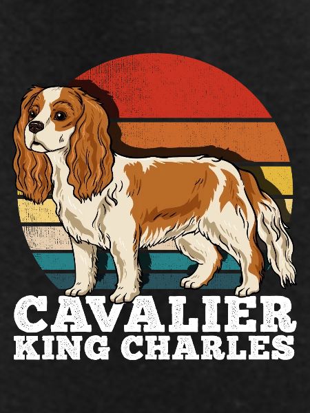 Cavalier King Charles