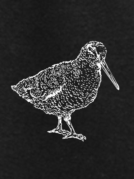 woodcock
