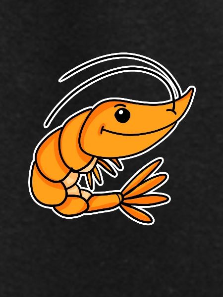 Shrimp