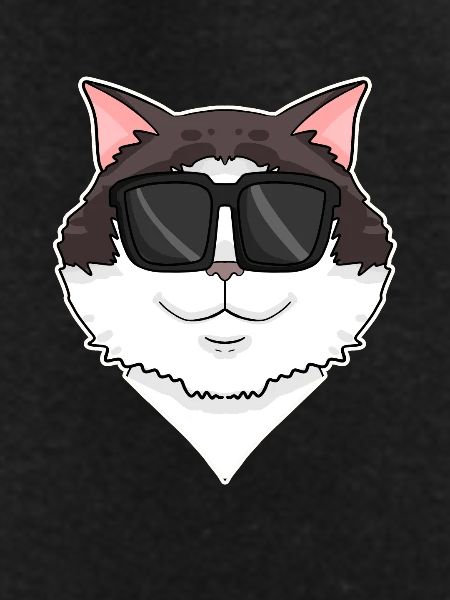 Ragdoll Cat