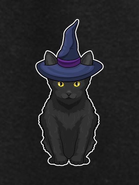 Cat Halloween Witch