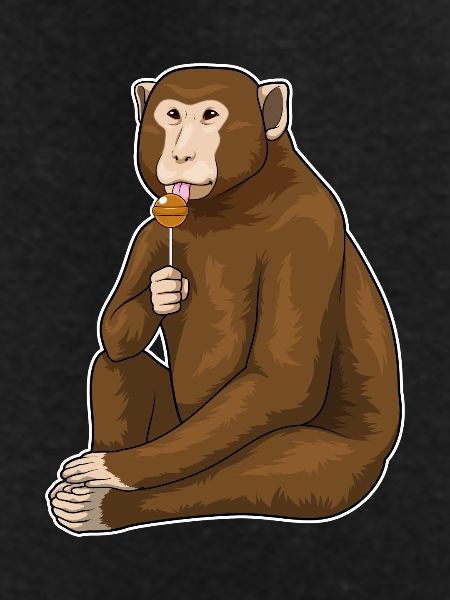 Monkey Lollipop