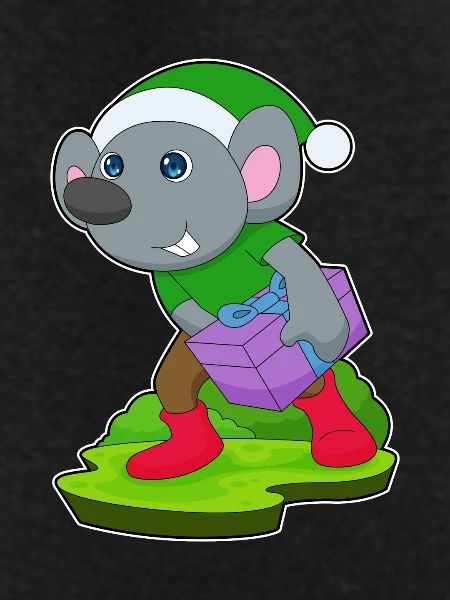Mouse Christmas Package