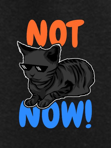 Funny Cat