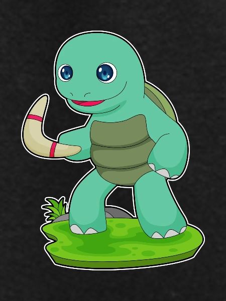 Turtle Boomerang