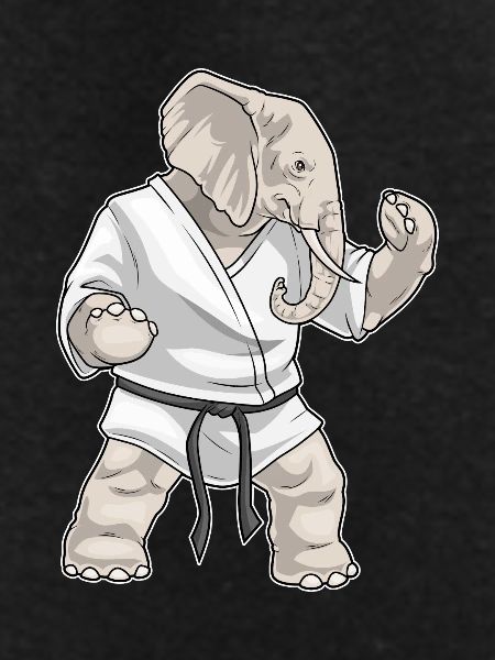 Elephant Karate Martial Arts