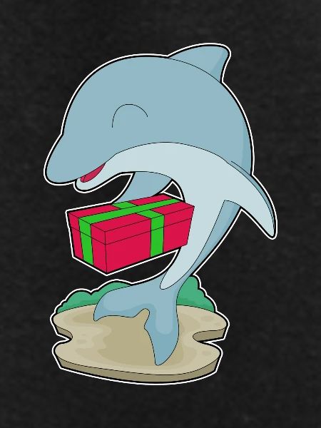 Dolphin Christmas Package