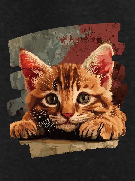Kitten