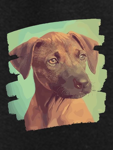 Rhodesian Ridgeback