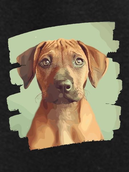 Rhodesian Ridgeback