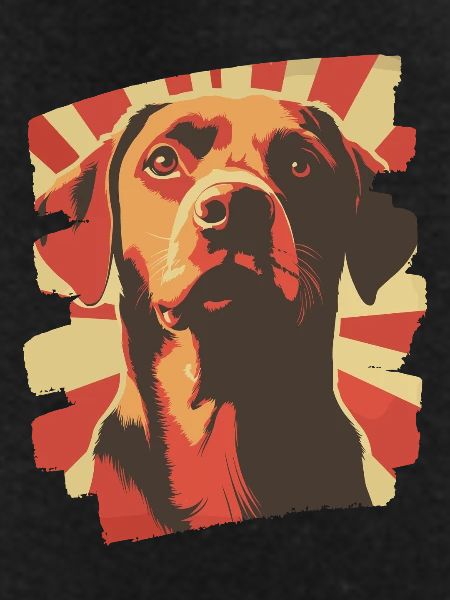 Labrador