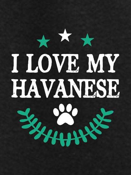 Havanese