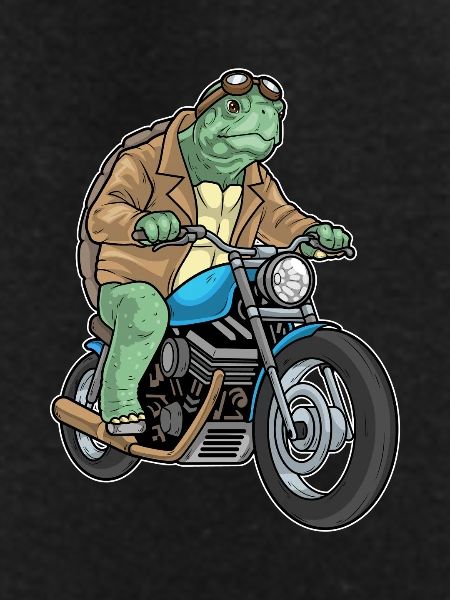 Turtle Motorcycle