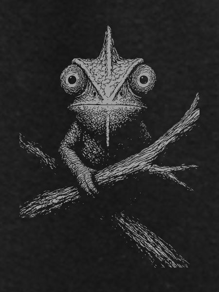 Serious Chameleon