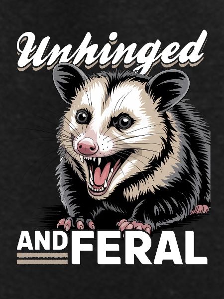 Funny Opossum