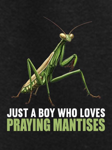 Praying mantises Praying mantis