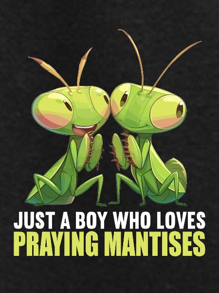 Praying mantises Praying mantis