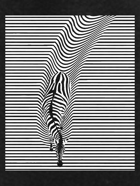 Zebra Art
