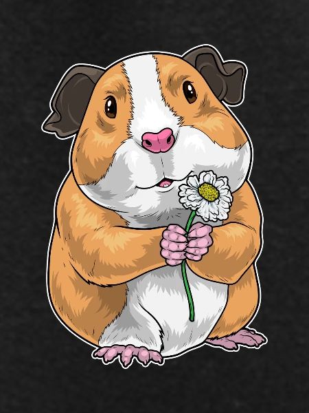 Guinea pig daisy
