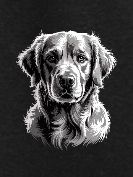 Labrador