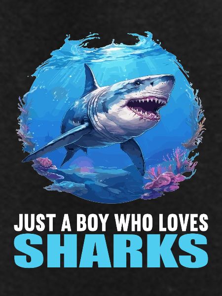 Sharks Shark