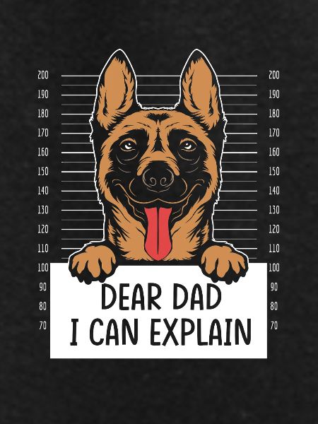 Belgian Malinois
