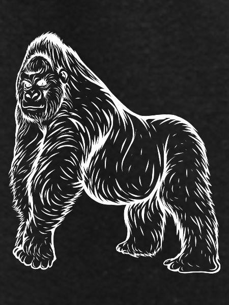 gorilla